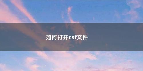 如何打开csf文件