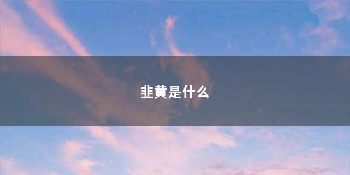 韭黄是什么