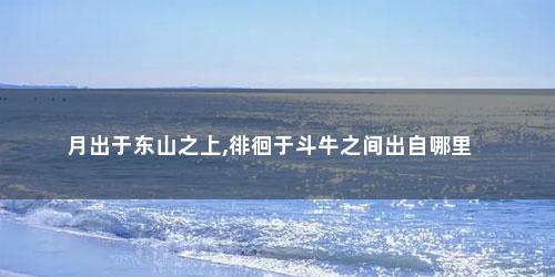 月出于东山之上,徘徊于斗牛之间出自哪里