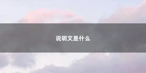 说明文是什么