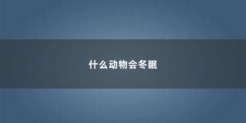 什么动物会冬眠