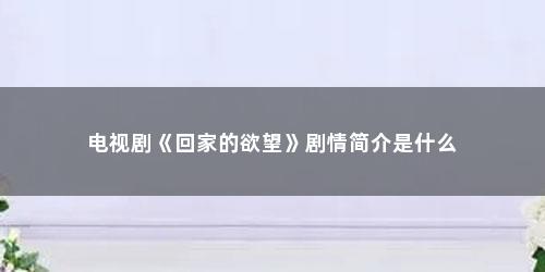 电视剧《回家的欲望》剧情简介是什么