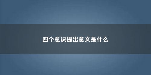 四个意识提出意义是什么