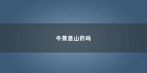 牛蒡是山药吗