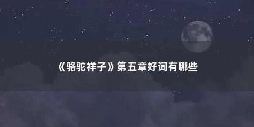 《骆驼祥子》第五章好词有哪些