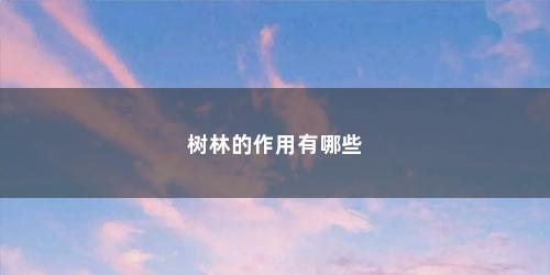 树林的作用有哪些