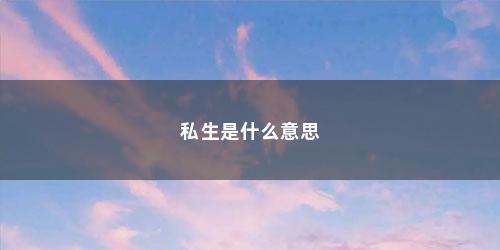 私生是什么意思