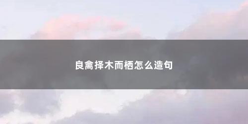 良禽择木而栖怎么造句