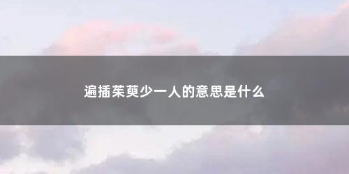 遍插茱萸少一人的意思是什么