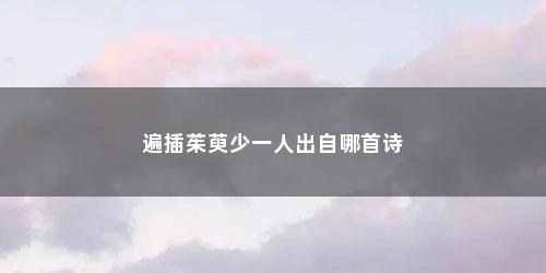 遍插茱萸少一人出自哪首诗