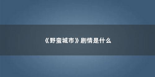 《野蛮城市》剧情是什么