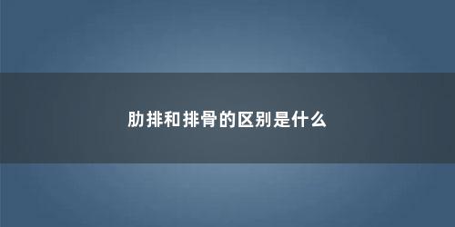 肋排和排骨的区别是什么