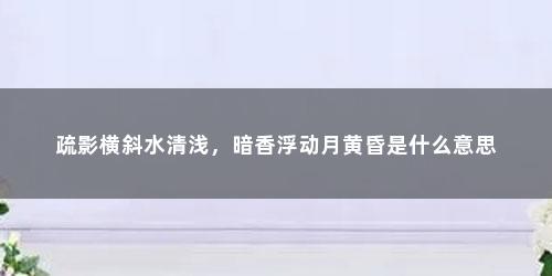 疏影横斜水清浅，暗香浮动月黄昏是什么意思
