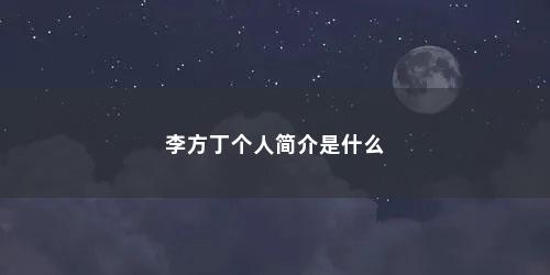 李方丁个人简介是什么