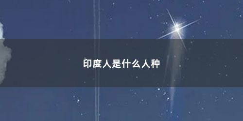 印度人是什么人种