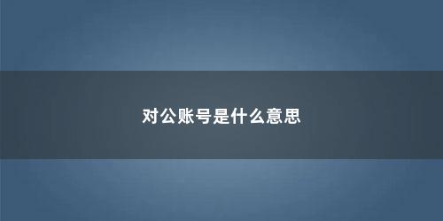 对公账号是什么意思