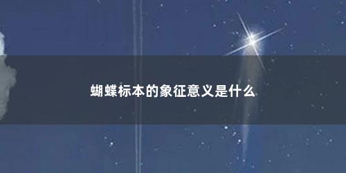 蝴蝶标本的象征意义是什么