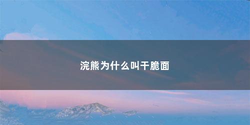 浣熊为什么叫干脆面