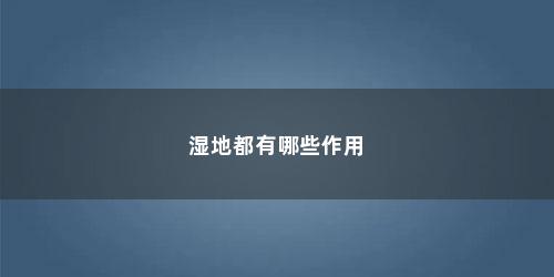 湿地都有哪些作用