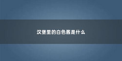 汉堡里的白色酱是什么