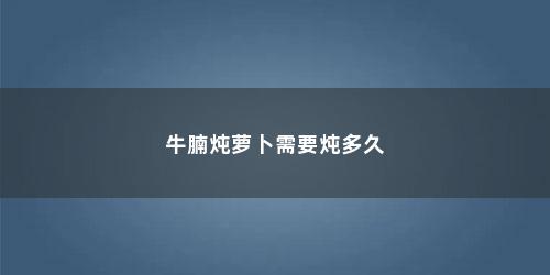 牛腩炖萝卜需要炖多久