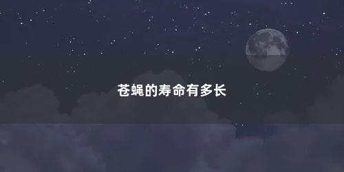 苍蝇的寿命有多长 苍蝇的寿命有多长(苍蝇的寿命有多长时间)