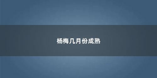 杨梅几月份成熟