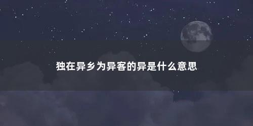 独在异乡为异客的异是什么意思
