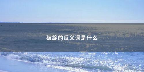 破绽的反义词是什么