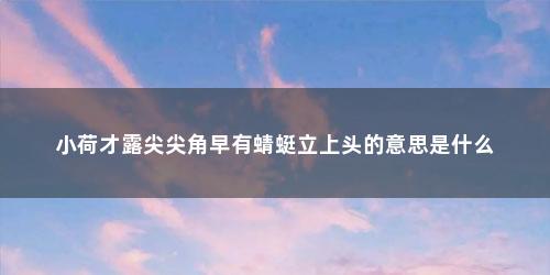 小荷才露尖尖角早有蜻蜓立上头的意思是什么