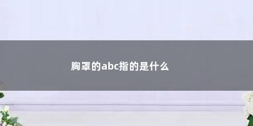 胸罩的abc指的是什么