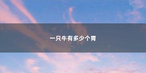 一只牛有多少个胃