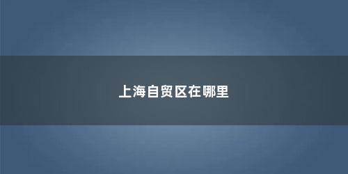 上海自贸区在哪里