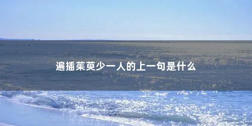 遍插茱萸少一人的上一句是什么