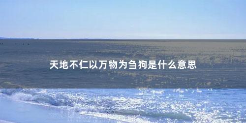 天地不仁以万物为刍狗是什么意思