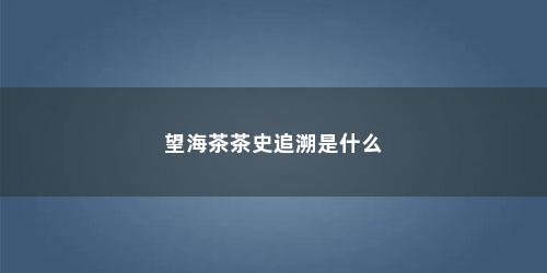 望海茶茶史追溯是什么