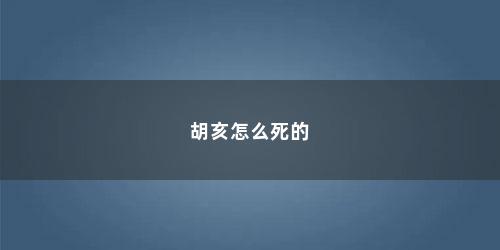 胡亥怎么死的