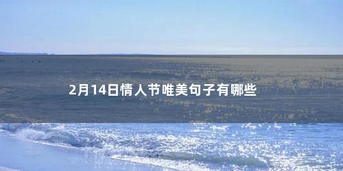 2月14日情人节唯美句子有哪些