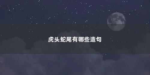 虎头蛇尾有哪些造句