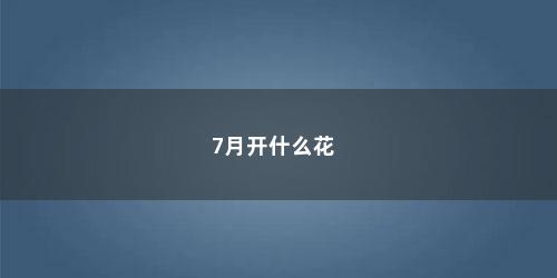 7月开什么花