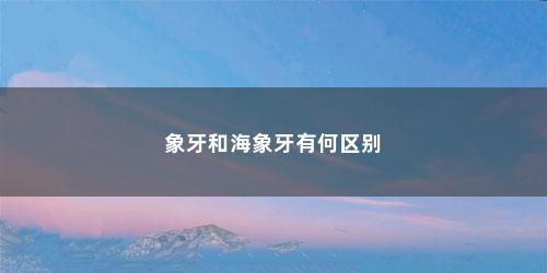 象牙和海象牙有何区别