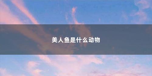 美人鱼是什么动物