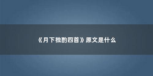 《月下独酌四首》原文是什么