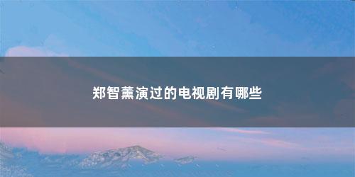 郑智薰演过的电视剧有哪些