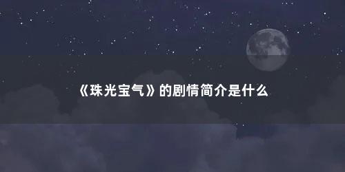 《珠光宝气》的剧情简介是什么