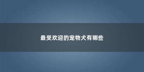 最受欢迎的宠物犬有哪些