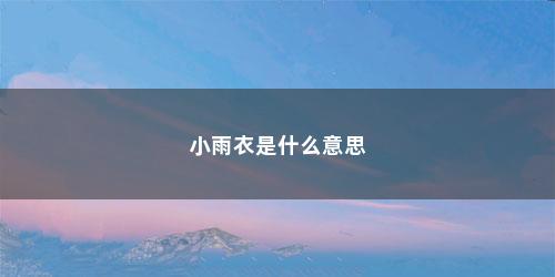 小雨衣是什么意思