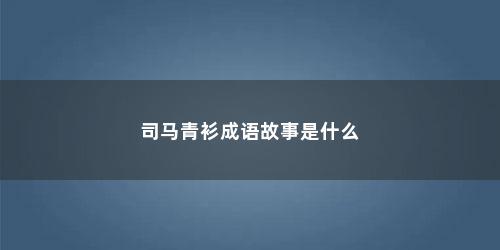司马青衫成语故事是什么