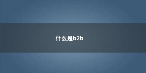 什么是b2b