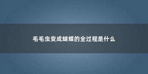毛毛虫变成蝴蝶的全过程是什么
